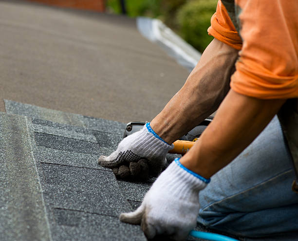 Best Roof Leak Repair  in Junction City, KY