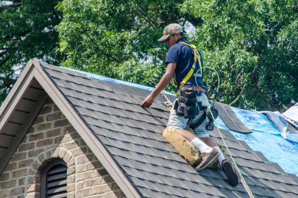 Best Roof Replacement Cost  in Junction City, KY